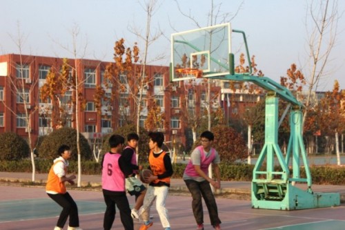 1765347598367569.jpg 640 (2).jpg